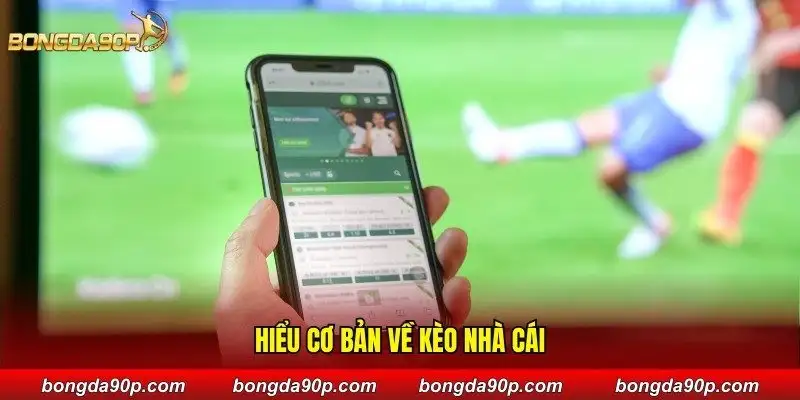 Hiểu cơ bản về kèo nhà cái