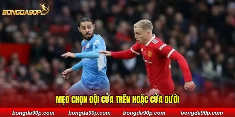 Mẹo chọn đội cửa trên hoặc cửa dưới