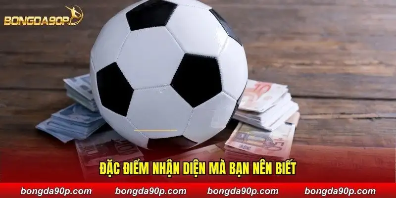 Đặc điểm nhận diện mà bạn nên biết