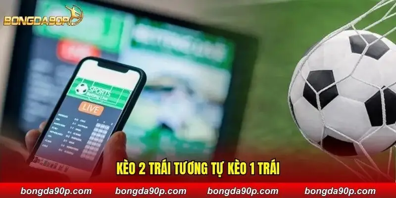 Kèo 2 trái tương tự kèo 1 trái