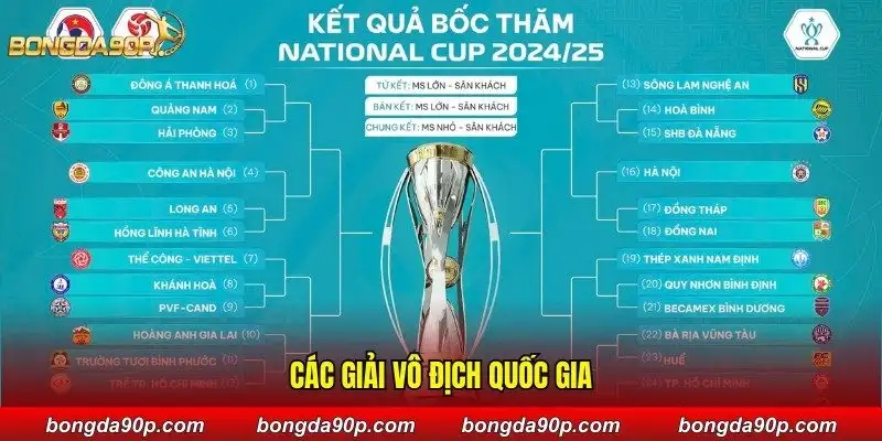 Các giải vô địch quốc gia