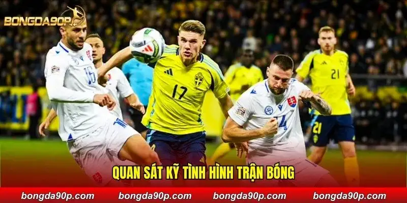 Quan sát kỹ tình hình trận bóng