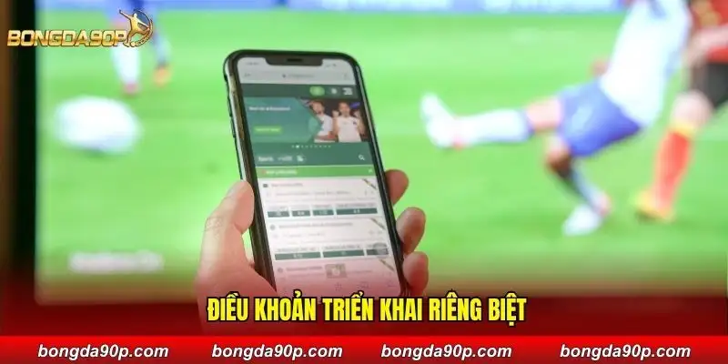 Điều khoản triển khai riêng biệt